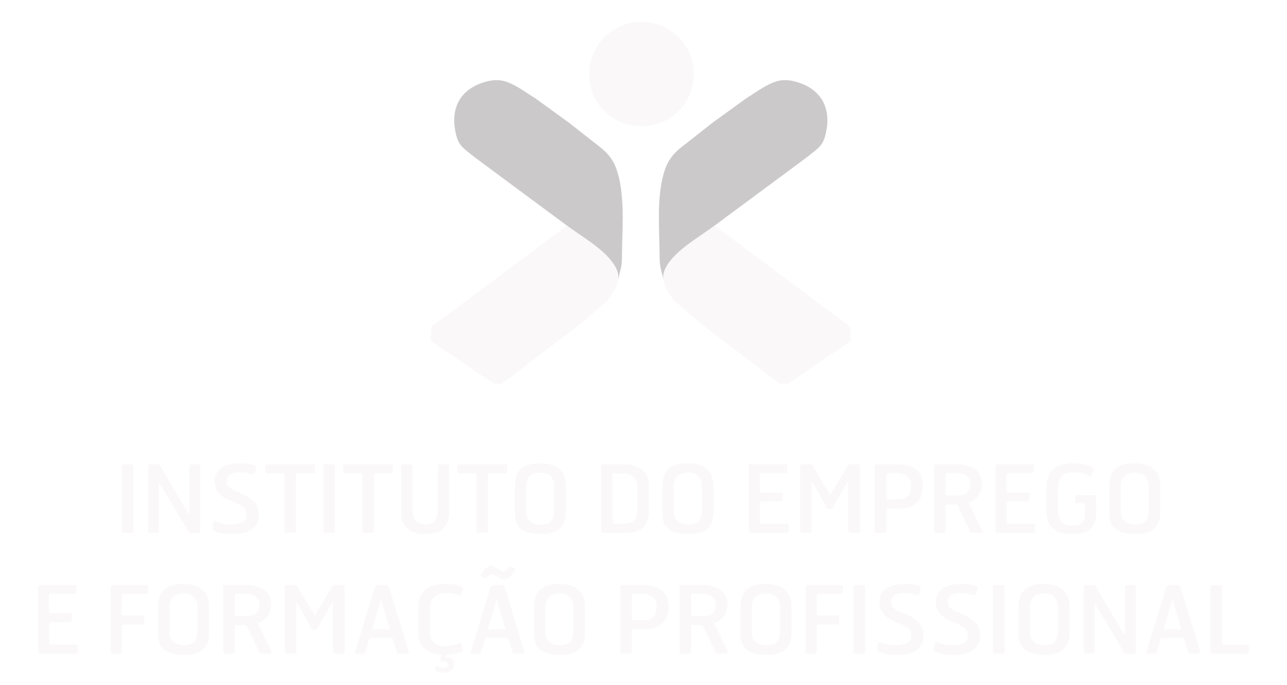 IEFP - Instituto do Emprego e Formação Profissional